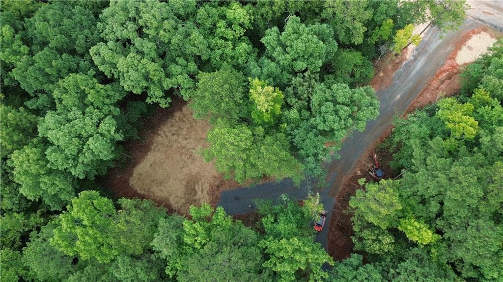 unimproved land for sale at 0 Roosevelt Highway, Warm Springs, GA 31830 — photo 6