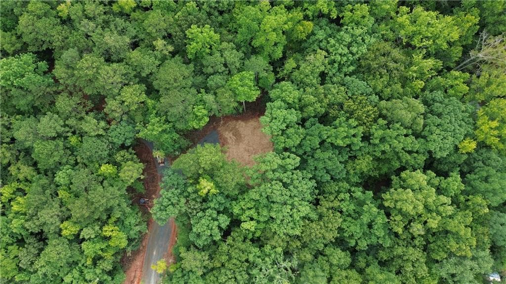 unimproved land for sale at 0 Roosevelt Highway, Warm Springs, GA 31830 — photo 7