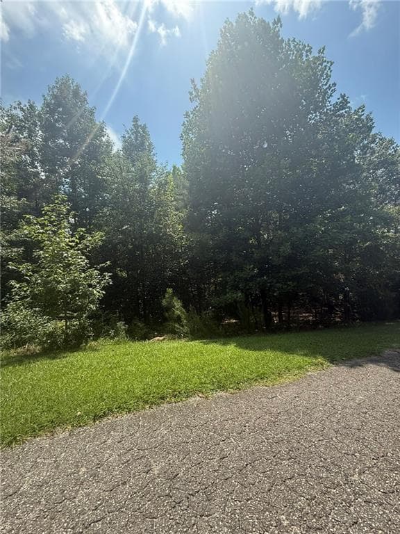 unimproved land for sale at 237 Stillwater Lane, Dawsonville, GA 30534 — photo 4
