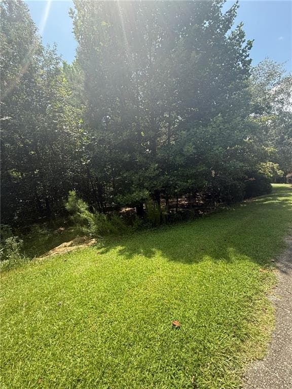 unimproved land for sale at 237 Stillwater Lane, Dawsonville, GA 30534 — photo 6