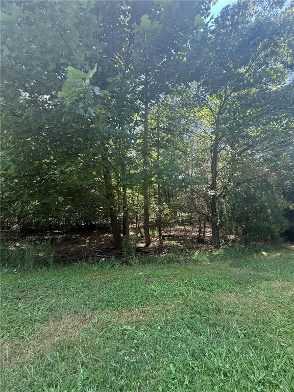 unimproved land for sale at 237 Stillwater Lane, Dawsonville, GA 30534 — photo 8