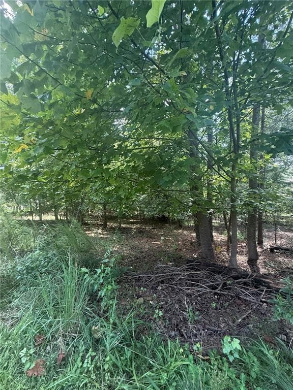 unimproved land for sale at 237 Stillwater Lane, Dawsonville, GA 30534 — photo 9