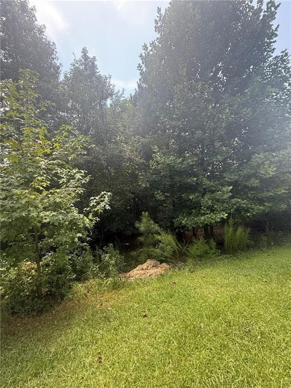 unimproved land for sale at 237 Stillwater Lane, Dawsonville, GA 30534 — photo 10