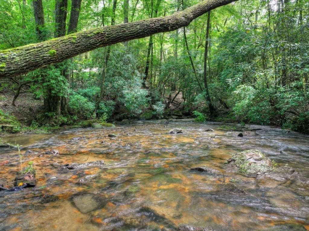 7 bedroom, 5 bathroom, 5,903 sq ft single family residence for sale at 20 Bear Trail, Ellijay, GA 30540 — photo 4