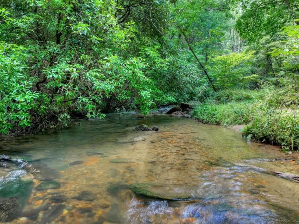 7 bedroom, 5 bathroom, 5,903 sq ft single family residence for sale at 20 Bear Trail, Ellijay, GA 30540 — photo 5