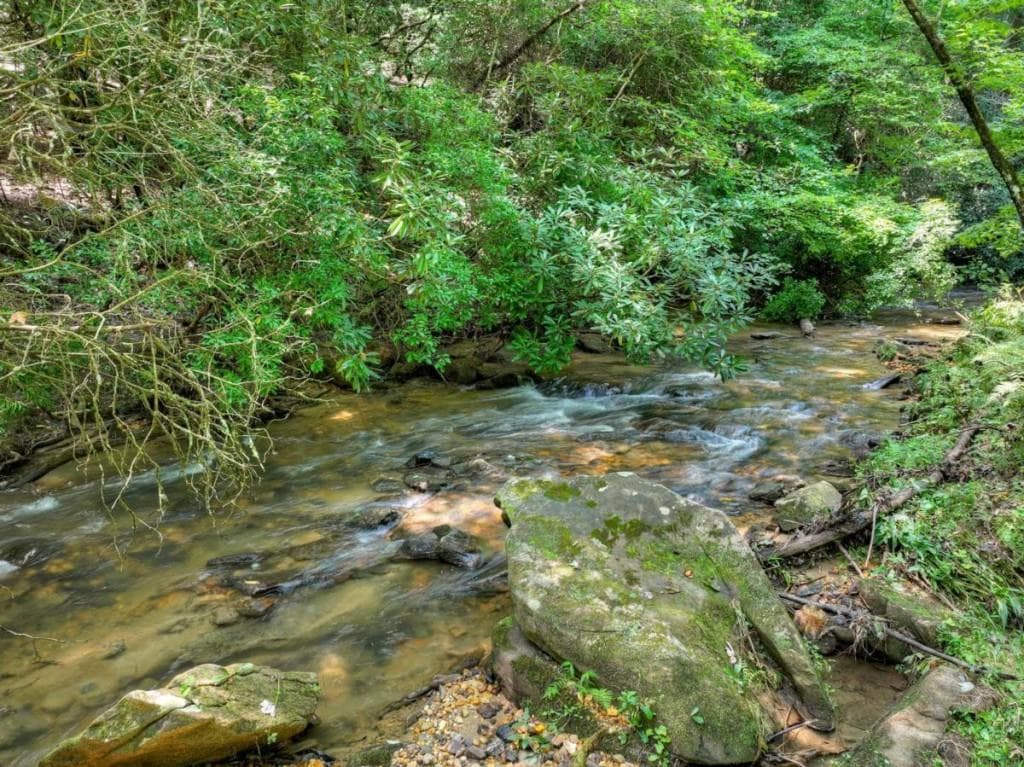 7 bedroom, 5 bathroom, 5,903 sq ft single family residence for sale at 20 Bear Trail, Ellijay, GA 30540 — photo 6