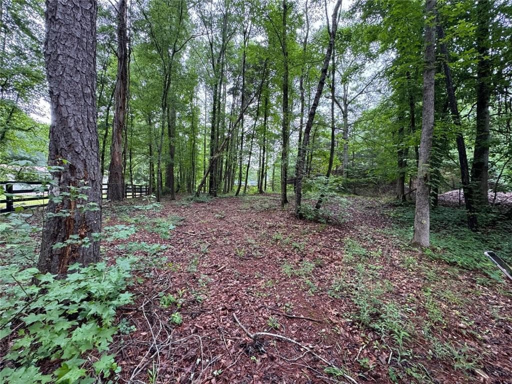 3 bedroom, 2 bathroom, 1,960 sq ft single family residence for sale at 219 Lynn Road, Bethlehem, GA 30620 — photo 5
