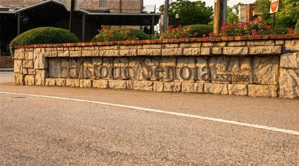 3 bedroom, 4 bathroom, 3,263 sq ft townhouse for sale at 61 Bourbon Street 7, Senoia, GA 30276 — photo 3