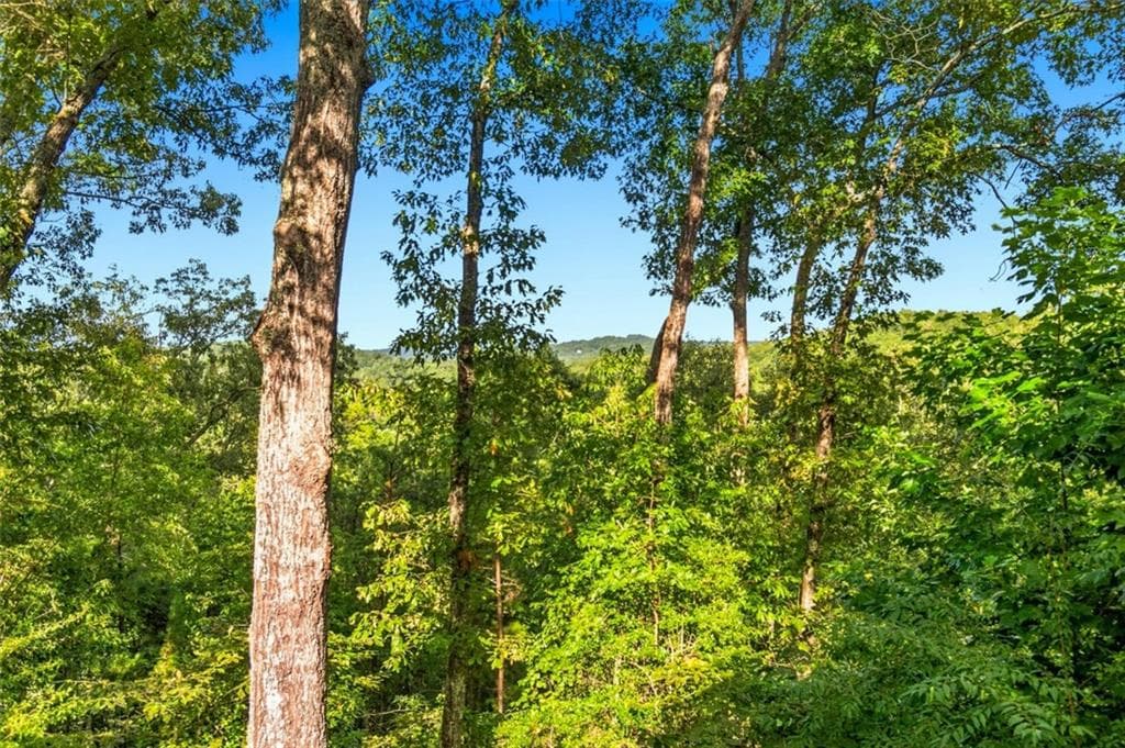 4 bedroom, 4 bathroom, 2,536 sq ft single family residence for sale at 142 Oak Hill Drive, Mineral Bluff, GA 30559 — photo 2