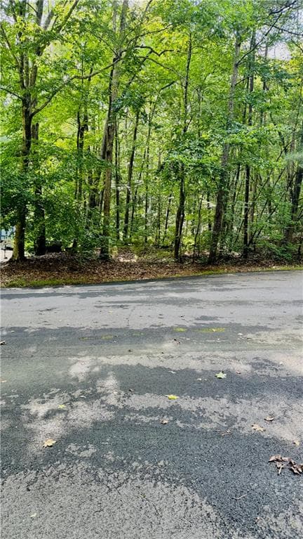 single family residence for sale at 2521 N Carroll Court, Villa Rica, GA 30180 — photo 2