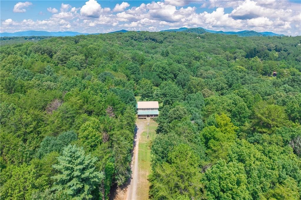 5 bedroom, 3 bathroom, 2,880 sq ft single family residence for sale at 495 Dockery Lane, Mineral Bluff, GA 30559 — photo 2