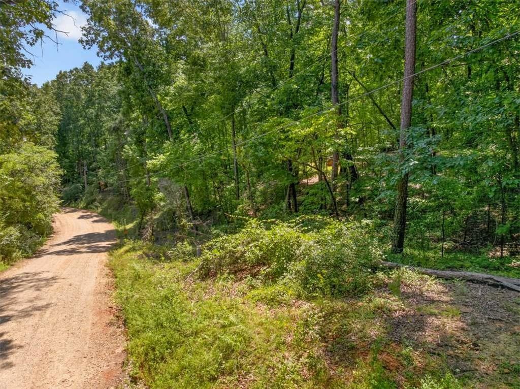 single family residence for sale at 0 Waters Edge Drive, Clarkesville, GA 30523 — photo 3