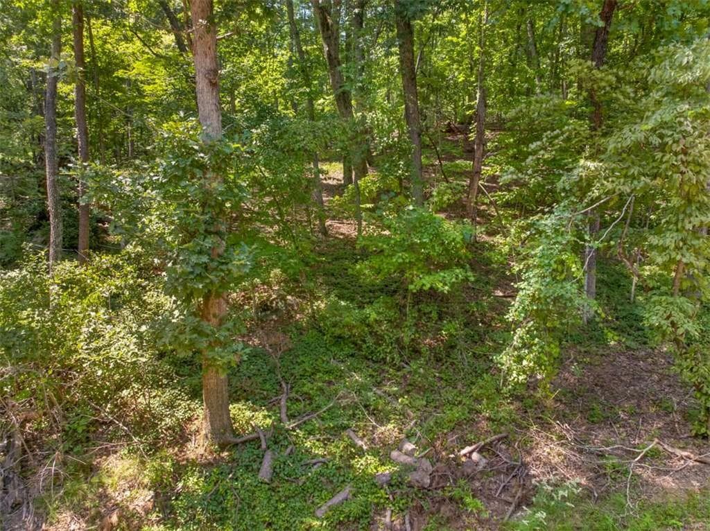 single family residence for sale at 0 Waters Edge Drive, Clarkesville, GA 30523 — photo 4