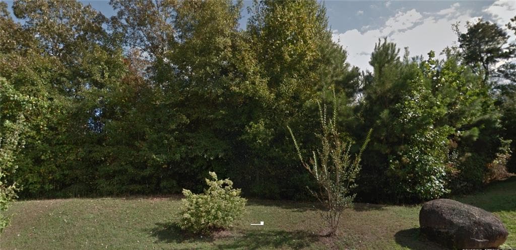 single family residence for sale at 0 Seven Bark Court, Palmetto, GA 30268 — photo 2