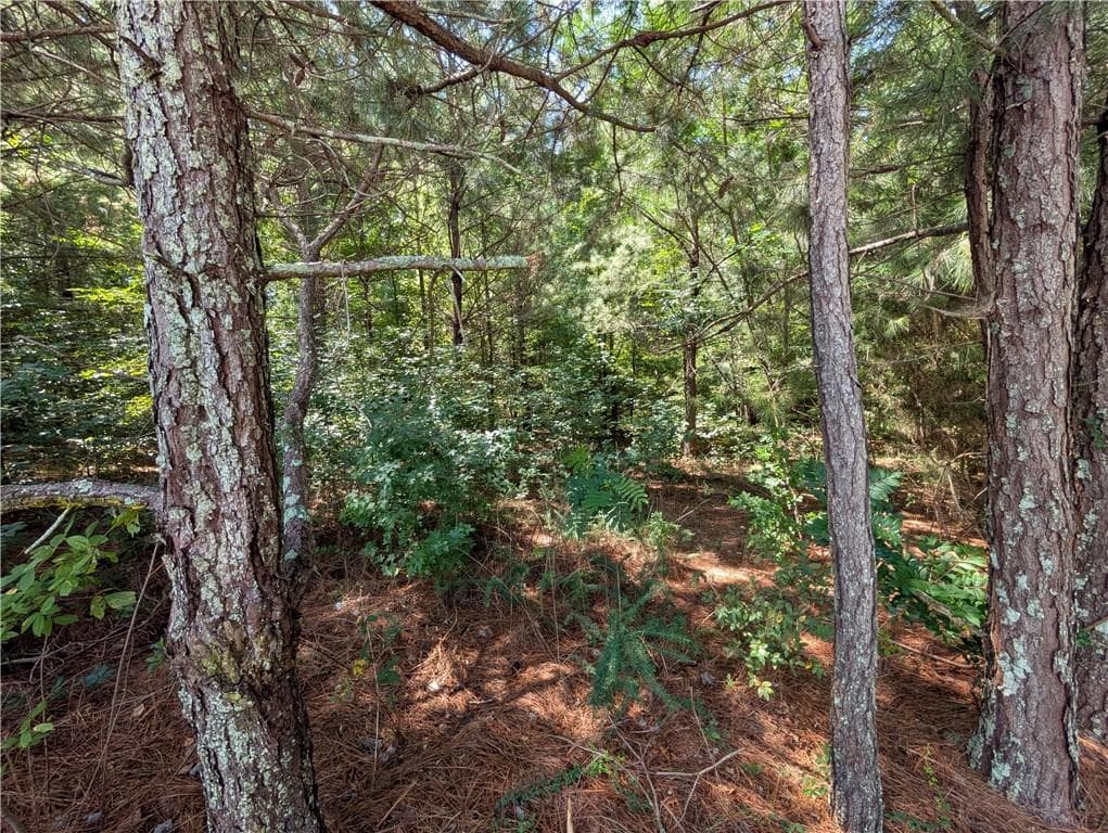 single family residence for sale at 0 Brookmont Parkway, Douglasville, GA 30135 — photo 5