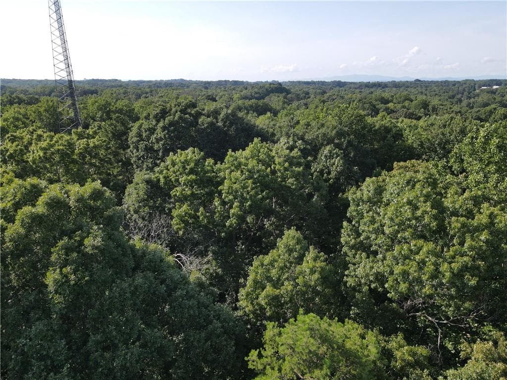 unimproved land for sale at 0 County Line Road, Cumming, GA 30040 — photo 5