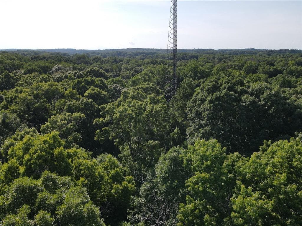 unimproved land for sale at 0 County Line Road, Cumming, GA 30040 — photo 6