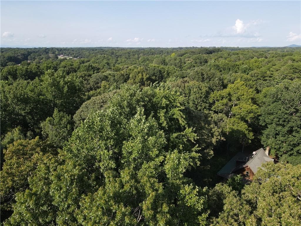 unimproved land for sale at 0 County Line Road, Cumming, GA 30040 — photo 7