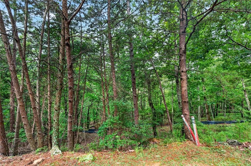 single family residence for sale at 16 Ridgewater Drive, Cartersville, GA 30121 — photo 2