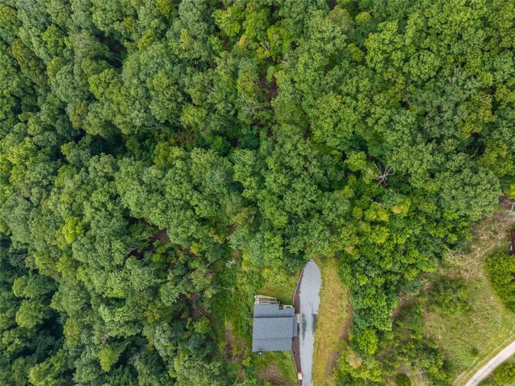 single family residence for sale at 32 Raven Ridge, Mineral Bluff, GA 30559 — photo 4