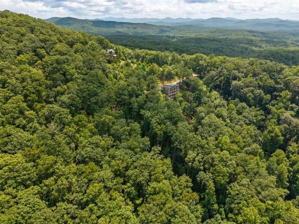 single family residence for sale at 32 Raven Ridge, Mineral Bluff, GA 30559 — photo 6