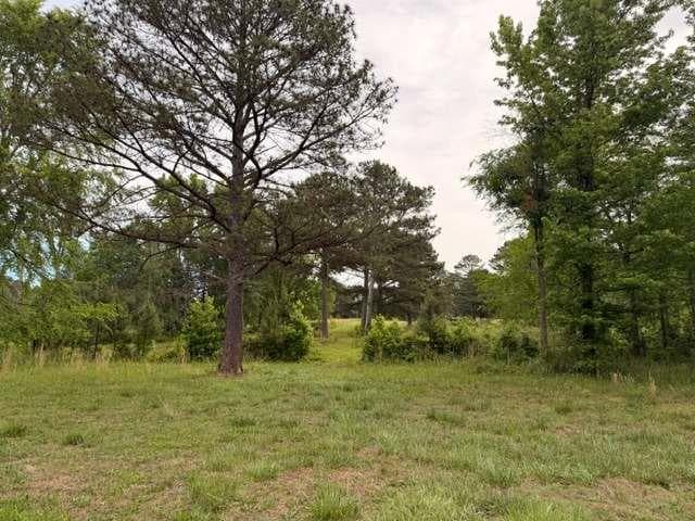 single family residence for sale at 3650 Spring Valley Drive, Loganville, GA 30052 — photo 4