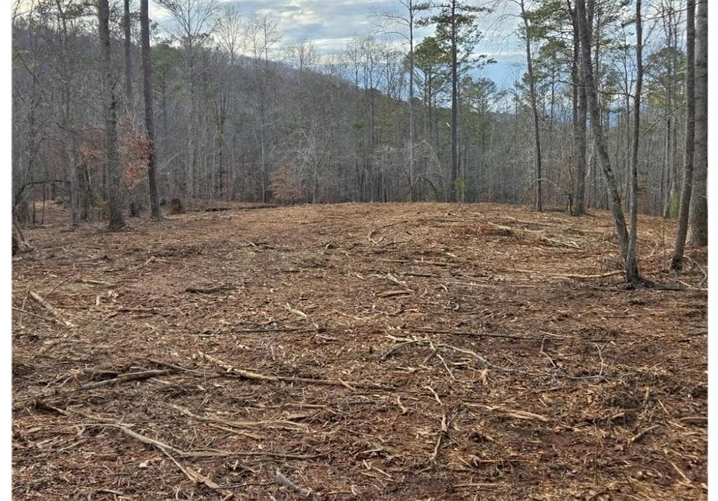 other for sale at 275 Tippens Road, Canton, GA 30114