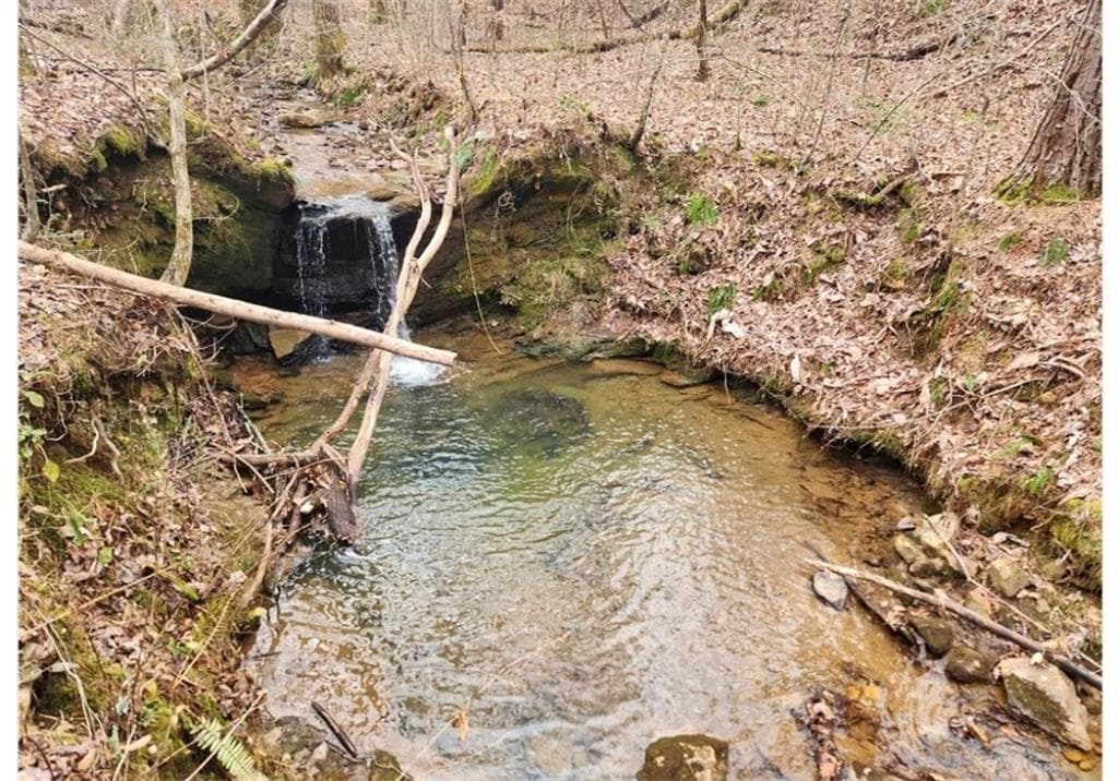 other for sale at 275 Tippens Road, Canton, GA 30114 — photo 3