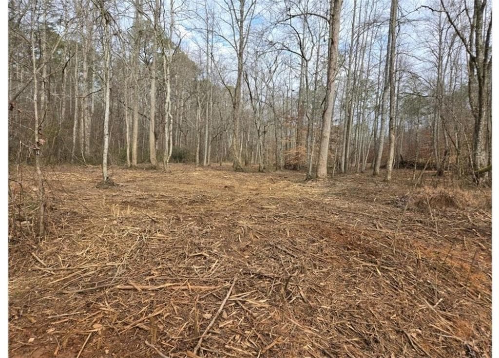other for sale at 275 Tippens Road, Canton, GA 30114 — photo 8
