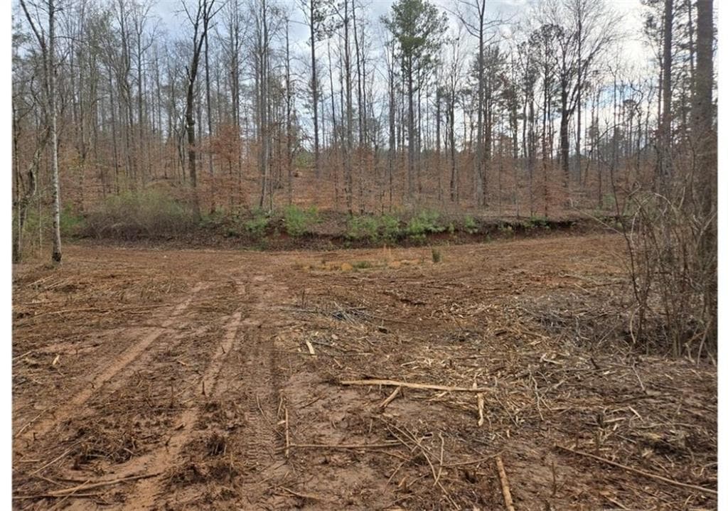other for sale at 275 Tippens Road, Canton, GA 30114 — photo 9