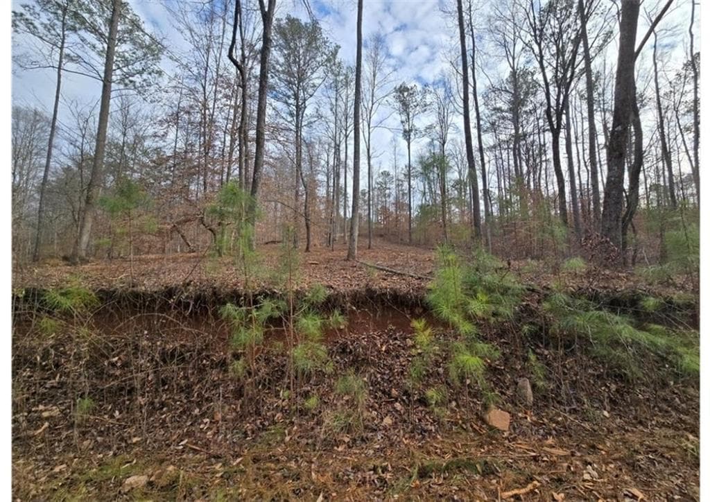 other for sale at 275 Tippens Road, Canton, GA 30114 — photo 10