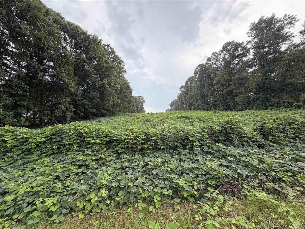 unimproved land for sale at 15-18 Laurel Lane, Stockbridge, GA 30281 — photo 4