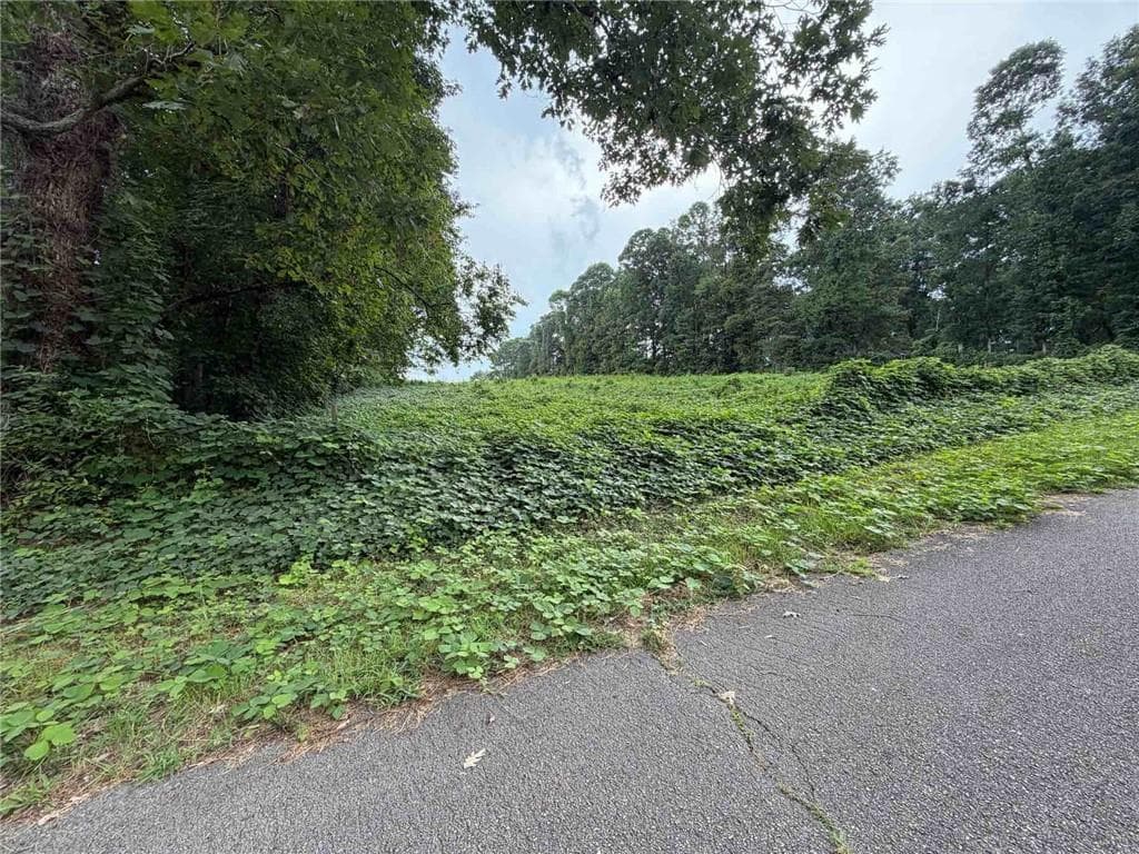 unimproved land for sale at 15-18 Laurel Lane, Stockbridge, GA 30281 — photo 5