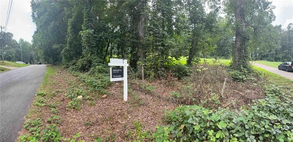 unimproved land for sale at 15-18 Laurel Lane, Stockbridge, GA 30281 — photo 6