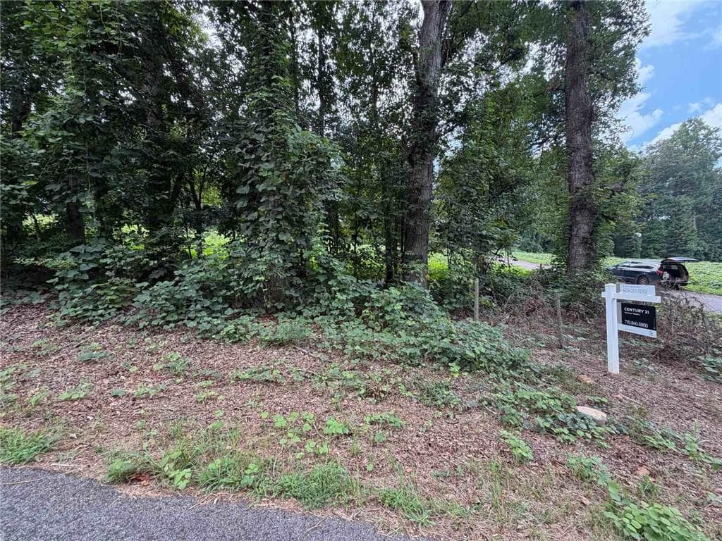 unimproved land for sale at 15-18 Laurel Lane, Stockbridge, GA 30281 — photo 7