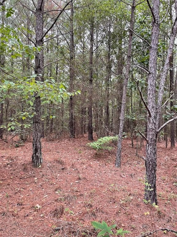 other for sale at 0 Spence Road, Fairburn, GA 30213 — photo 4