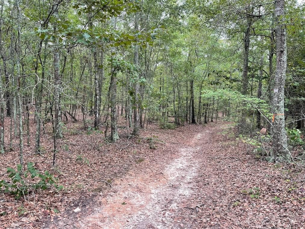 other for sale at 0 Spence Road, Fairburn, GA 30213 — photo 5
