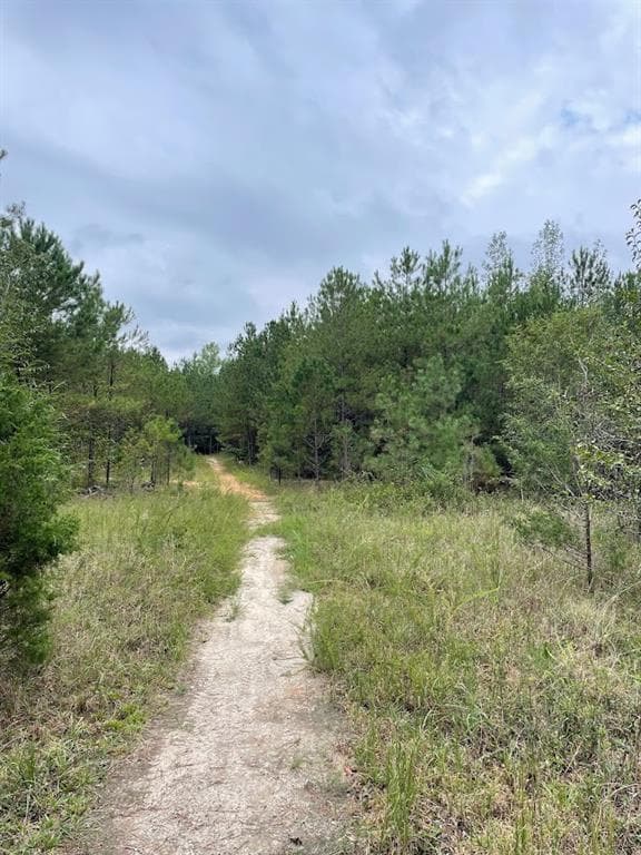 other for sale at 0 Spence Road, Fairburn, GA 30213 — photo 6