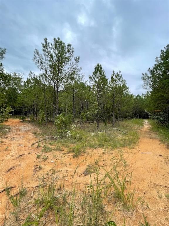 other for sale at 0 Spence Road, Fairburn, GA 30213 — photo 7