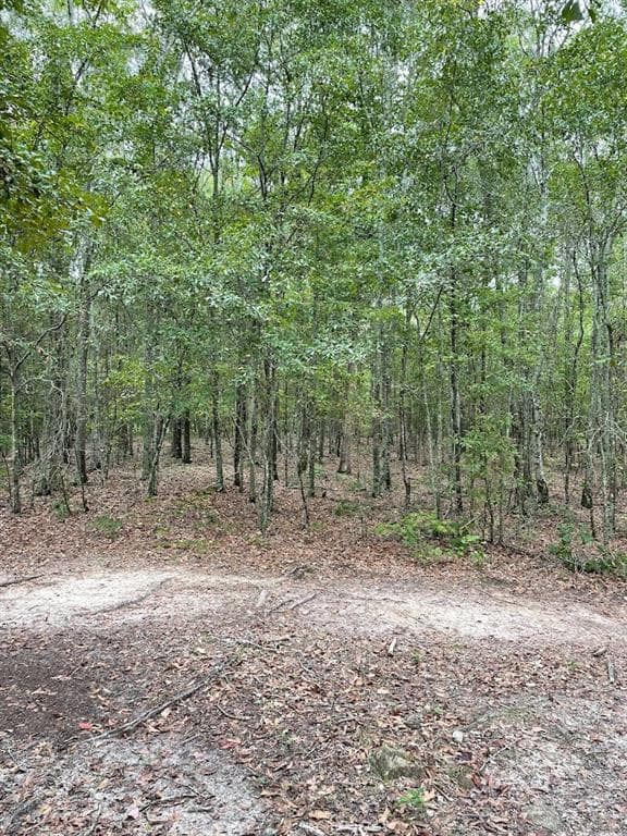 other for sale at 0 Spence Road, Fairburn, GA 30213 — photo 8