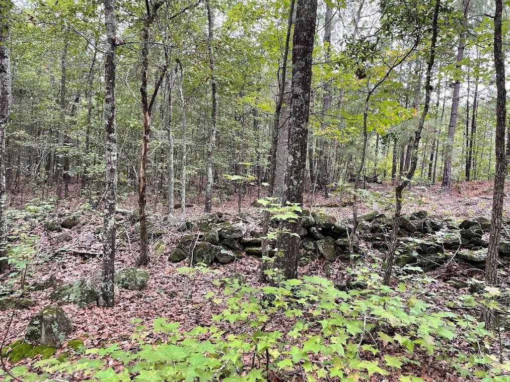 other for sale at 0 Spence Road, Fairburn, GA 30213 — photo 9