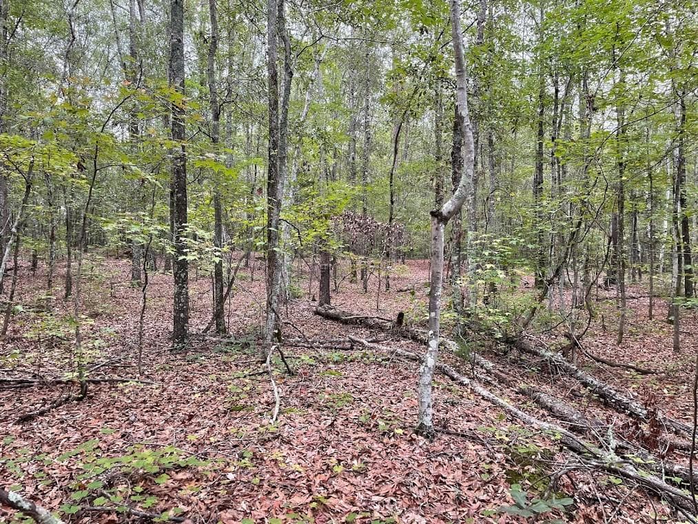 other for sale at 0 Spence Road, Fairburn, GA 30213 — photo 10