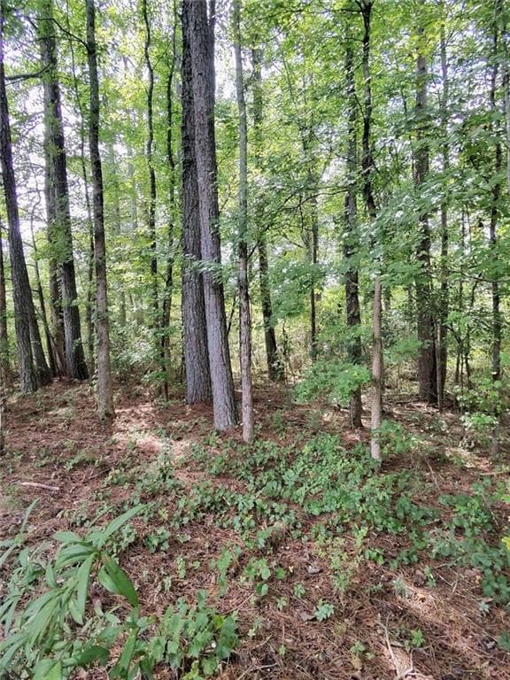 unimproved land for sale at 0 Post Road, Winston, GA 30187