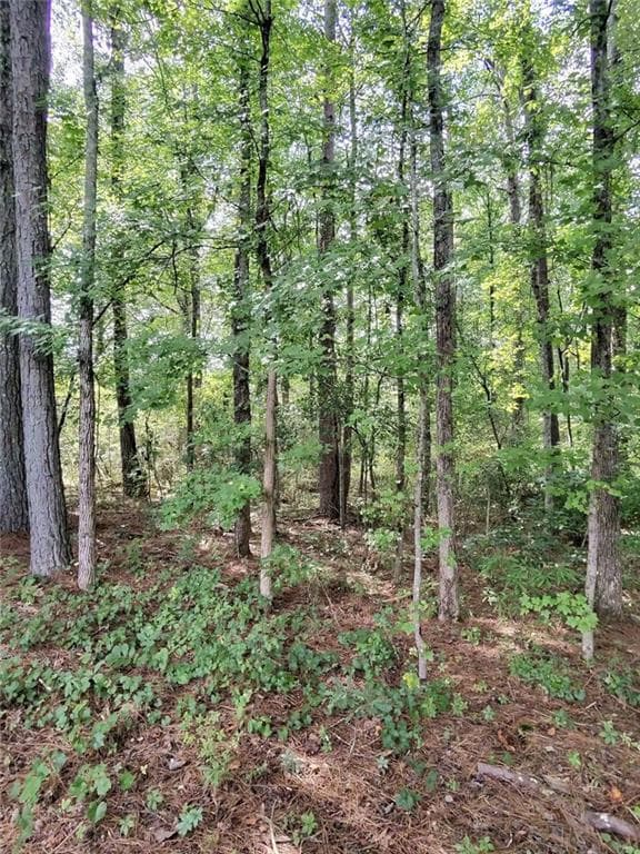 unimproved land for sale at 0 Post Road, Winston, GA 30187 — photo 4