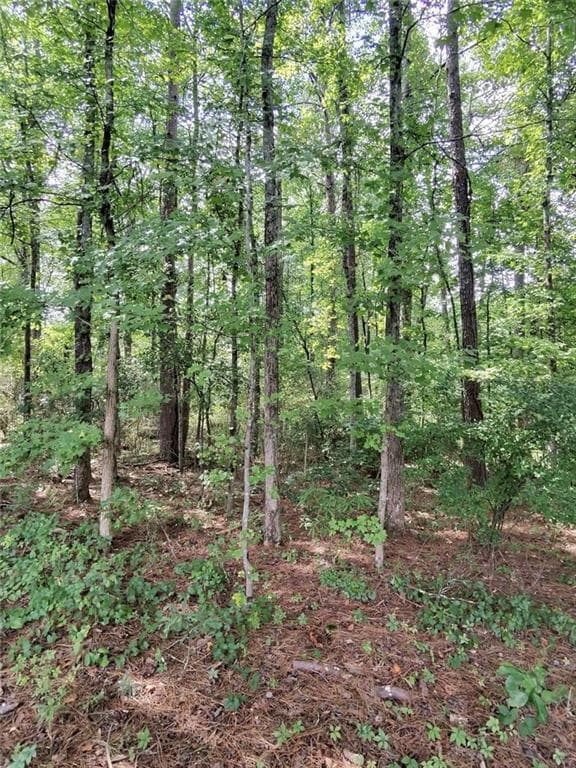 unimproved land for sale at 0 Post Road, Winston, GA 30187 — photo 5