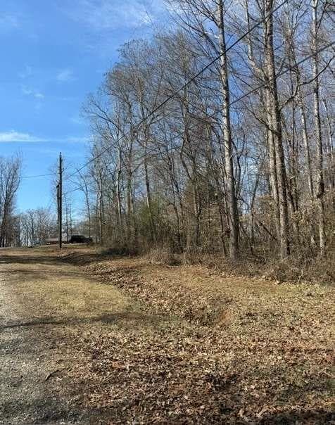 single family residence for sale at LOT 41 Rue Lafayette, Lavonia, GA 30553 — photo 5