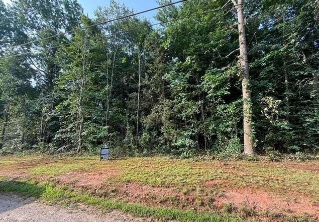 single family residence for sale at LT 113 Normandy Trail, Lavonia, GA 30553 — photo 3