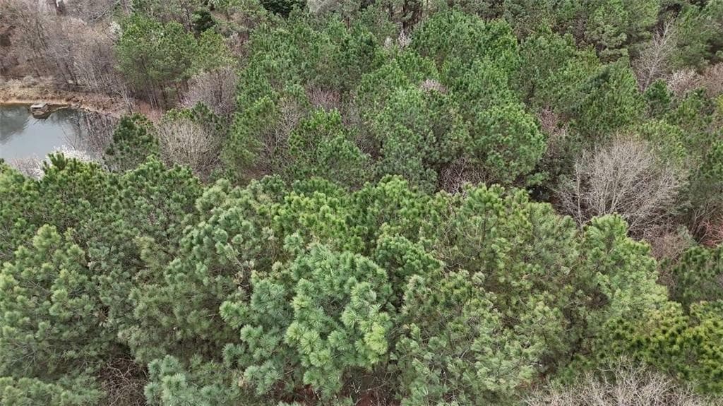 unimproved land for sale at 1600 Rockdale Circle, Snellville, GA 30078 — photo 3