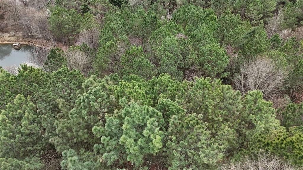unimproved land for sale at 1600 Rockdale Circle, Snellville, GA 30078 — photo 7