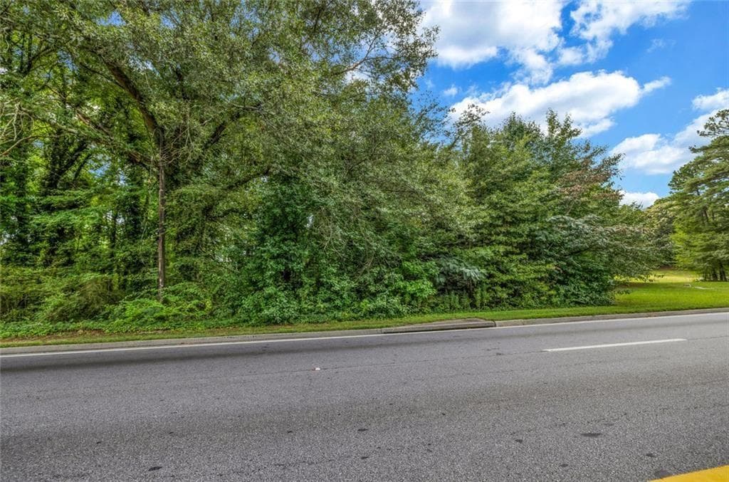 unimproved land for sale at 6845 Old National Highway, College Park, GA 30349 — photo 3